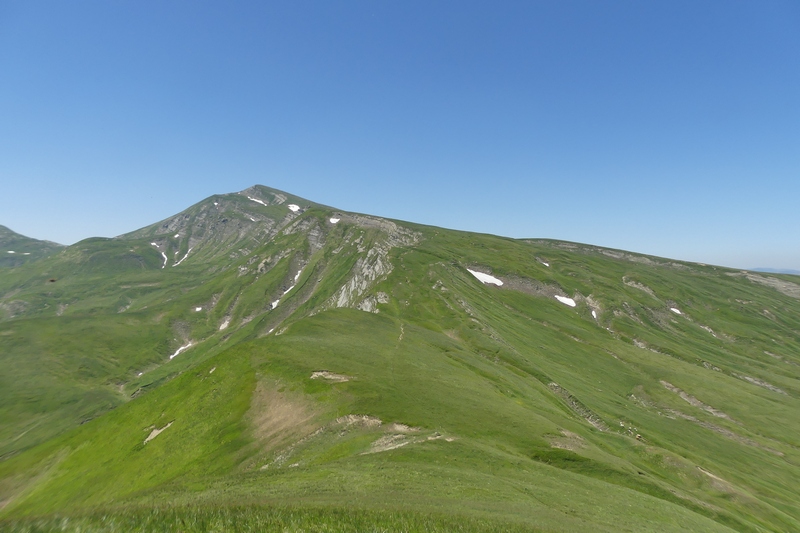 Nigritella widderi sui Monti della Laga (Rieti/LAquila) luglio 2019