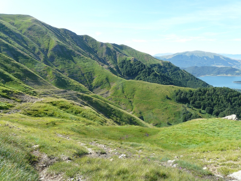 Nigritella widderi sui Monti della Laga (Rieti/LAquila) luglio 2019