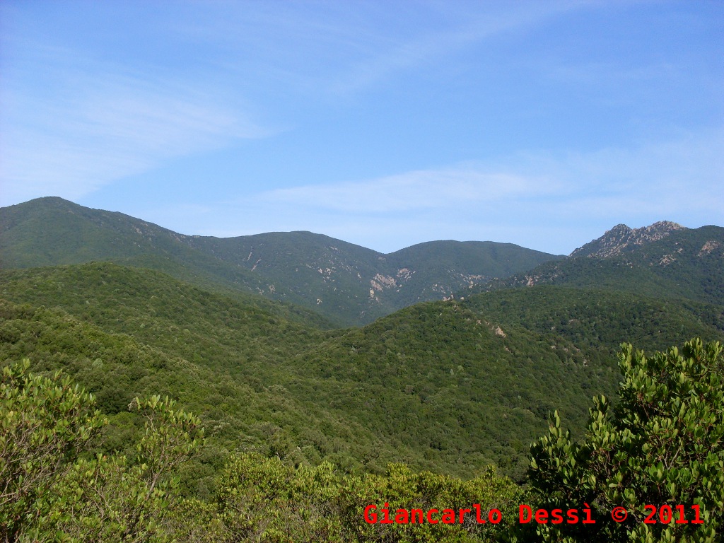 Attraverso il Parco Regionale di Gutturu Mannu