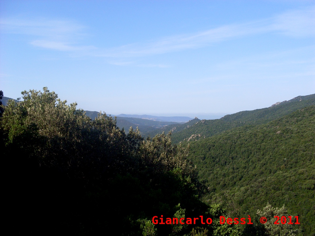 Attraverso il Parco Regionale di Gutturu Mannu