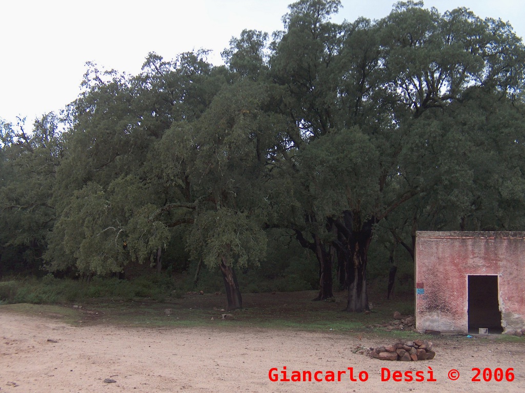 Attraverso il Parco Regionale di Gutturu Mannu