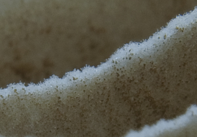 Fotografia e micro