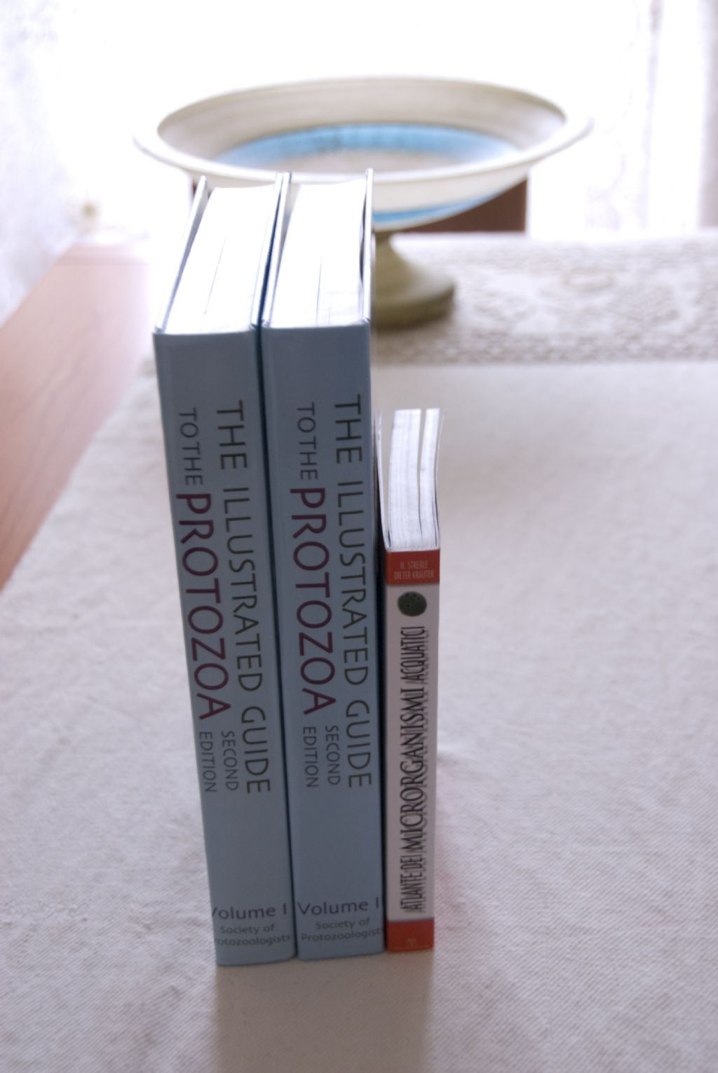 Arrivato! ---The Illustrated Guide to the protozoa---