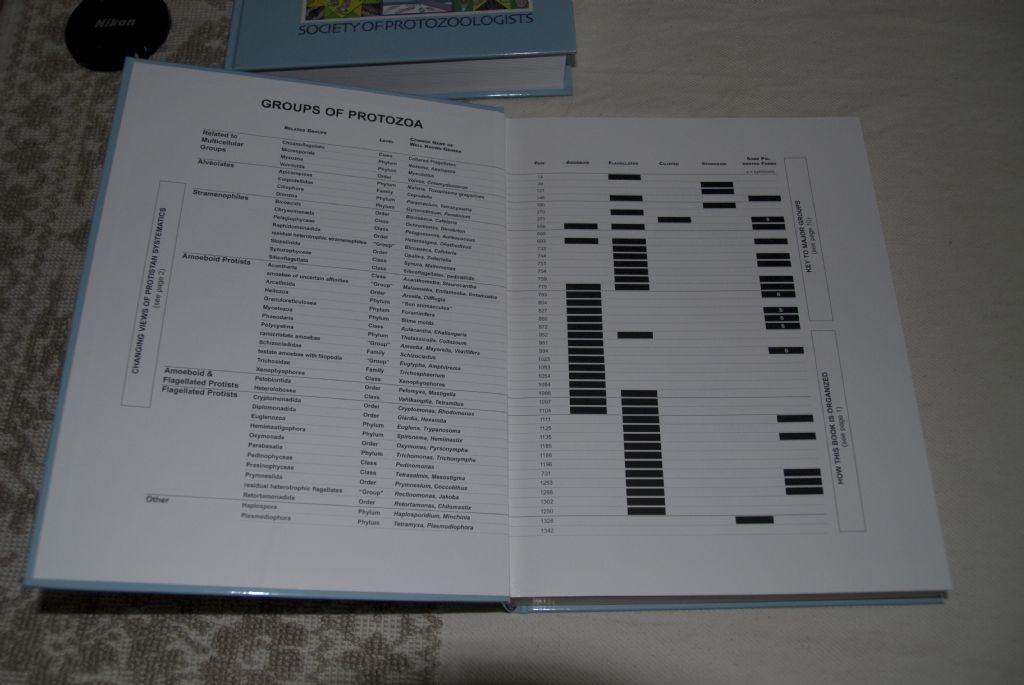 Arrivato! ---The Illustrated Guide to the protozoa---