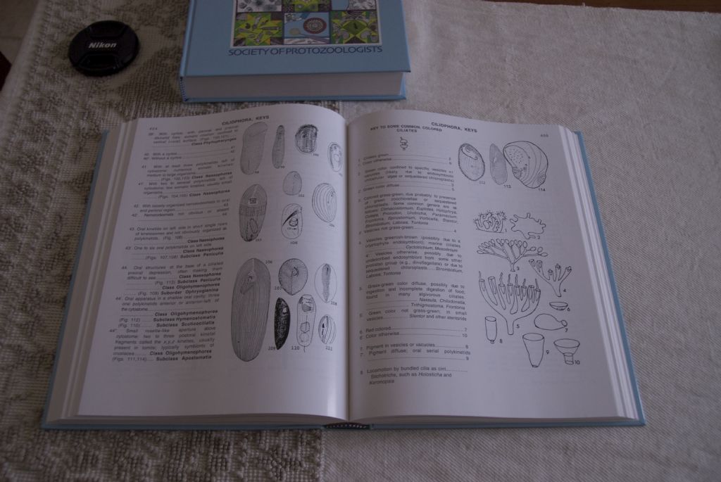 Arrivato! ---The Illustrated Guide to the protozoa---