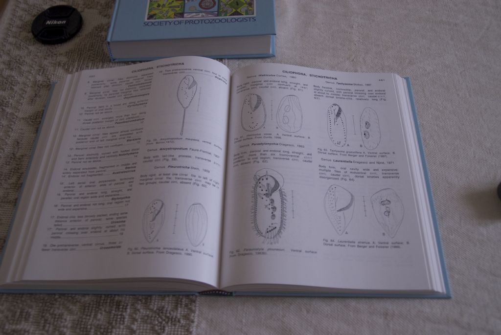 Arrivato! ---The Illustrated Guide to the protozoa---