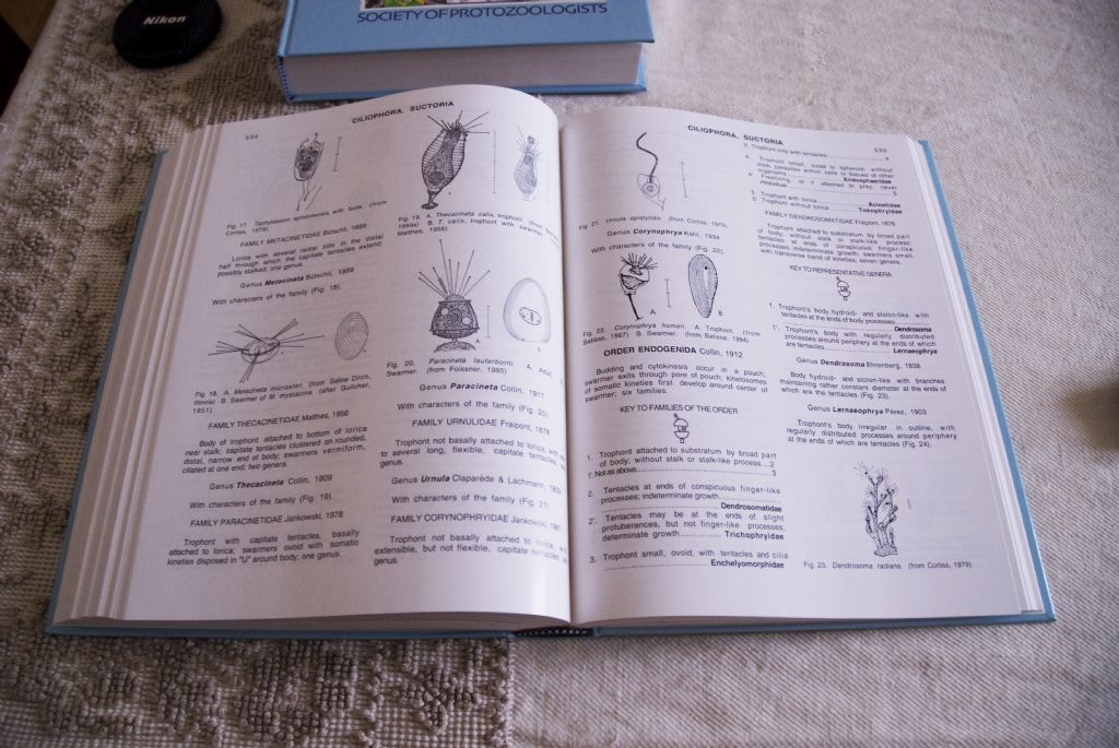 Arrivato! ---The Illustrated Guide to the protozoa---