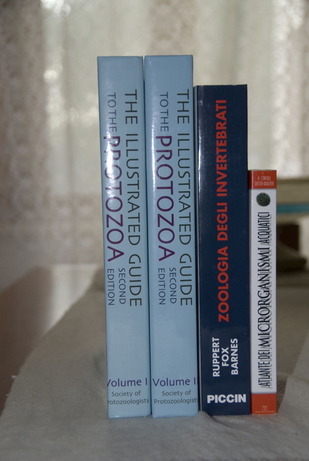 Arrivato! ---The Illustrated Guide to the protozoa---