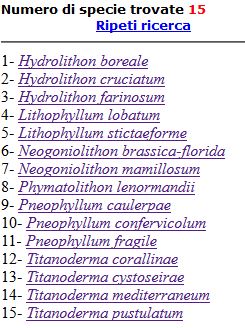 Neogoniolithon ? concettacoli unipori a fischetta