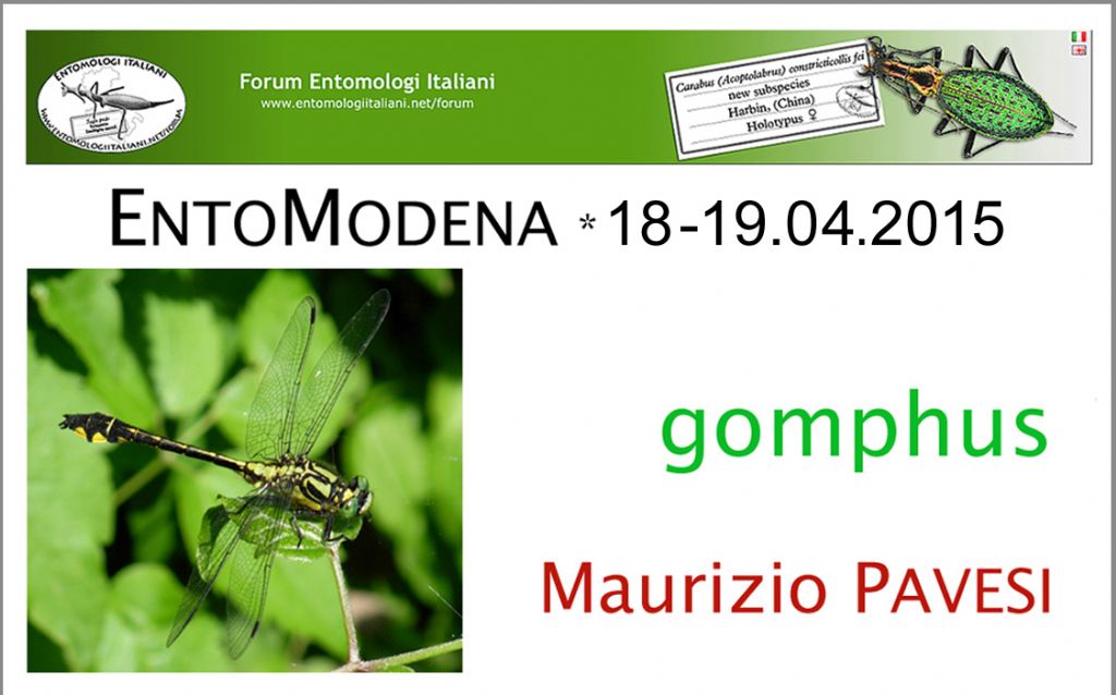 Entomodena 2015