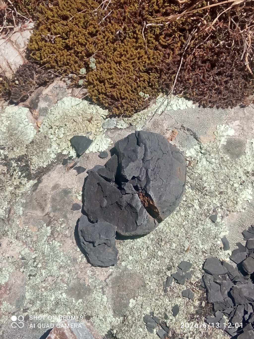 Minerale da determinare Mistretta Sicilia