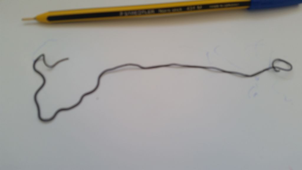 Nematomorfo scuro