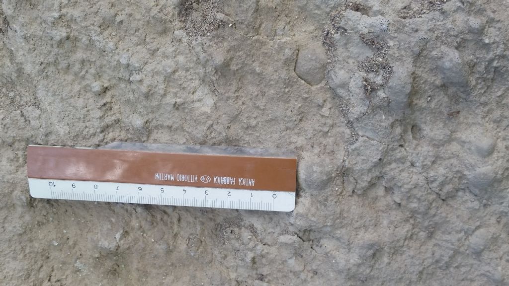 Pisoliti Vulcaniche? S� (alias lapilli di accrescimento)