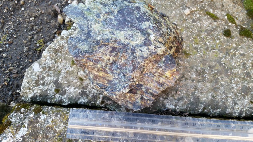 Che roccia ? serpentinite