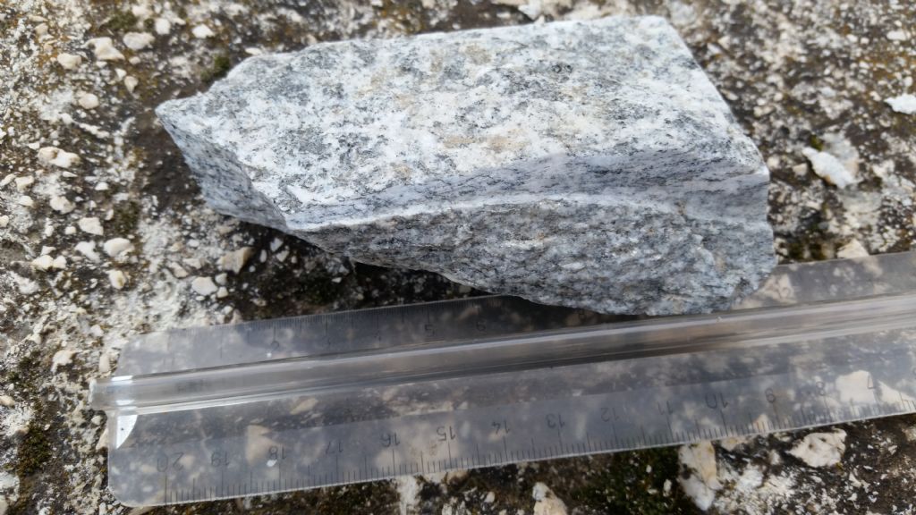 Che roccia  2? gneiss