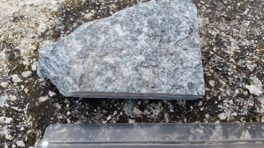 Che roccia  2? gneiss