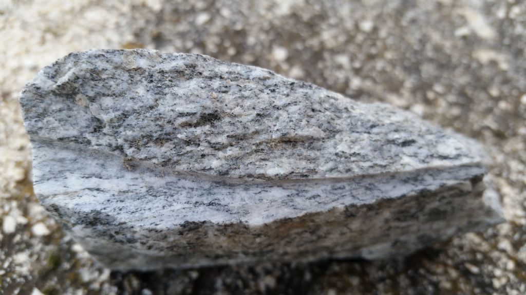 Che roccia  2? gneiss