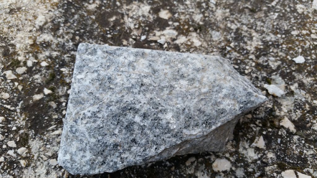 Che roccia  2? gneiss