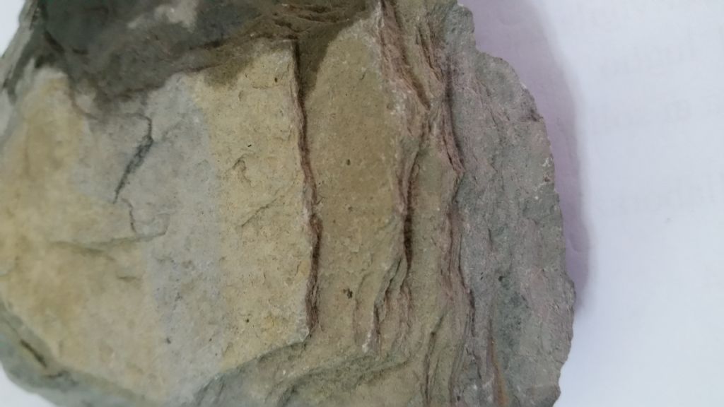 Roccia10 - marna/calcare marnoso