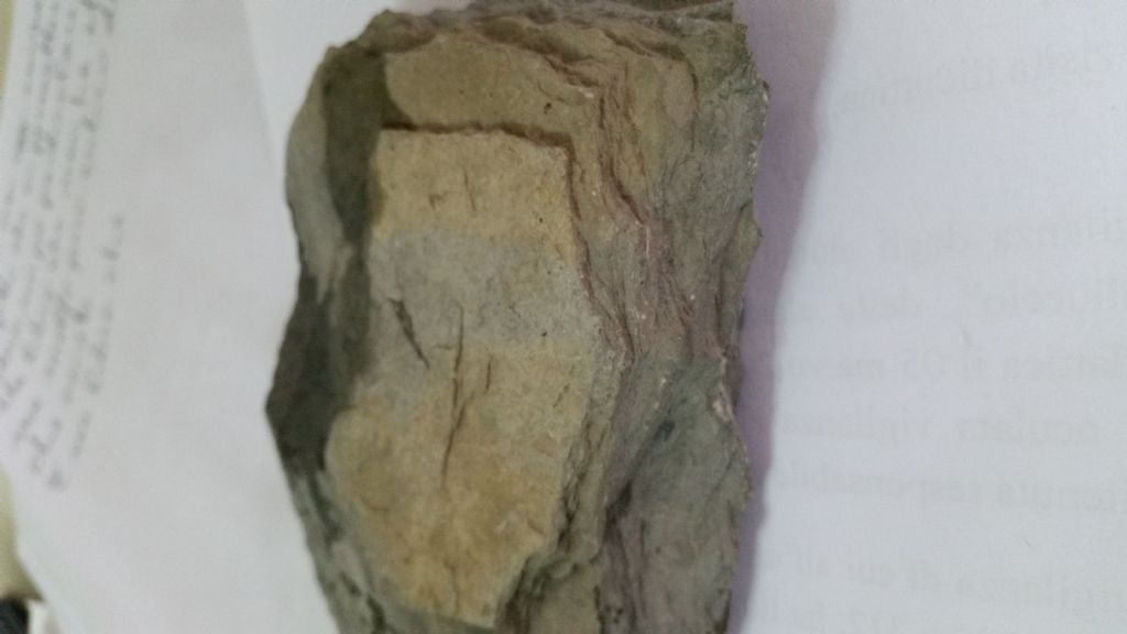 Roccia10 - marna/calcare marnoso