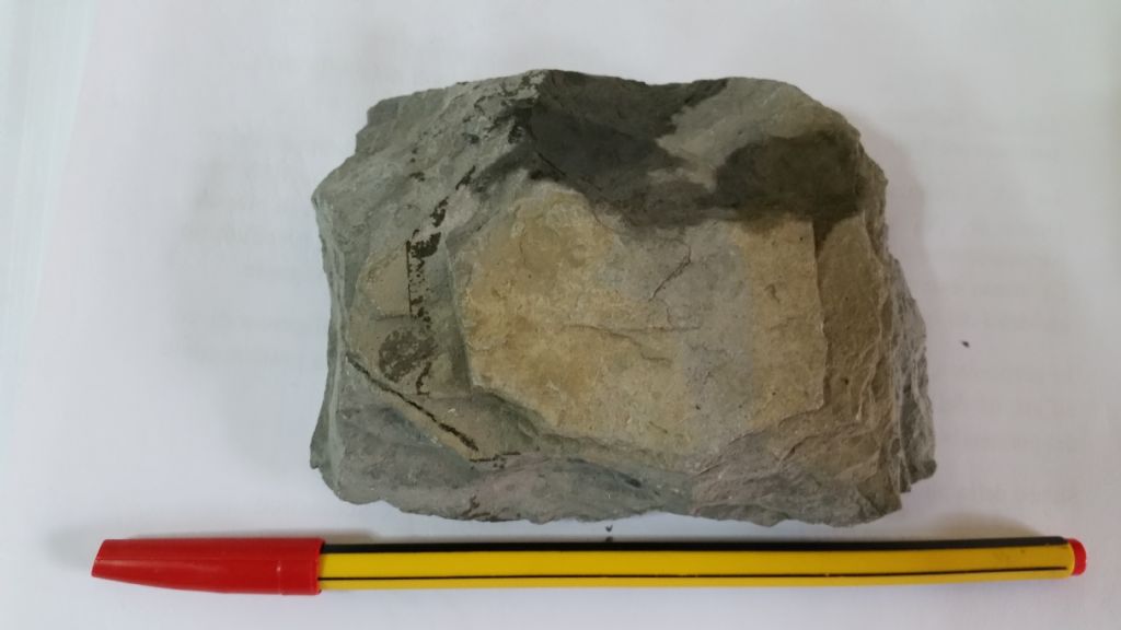 Roccia10 - marna/calcare marnoso