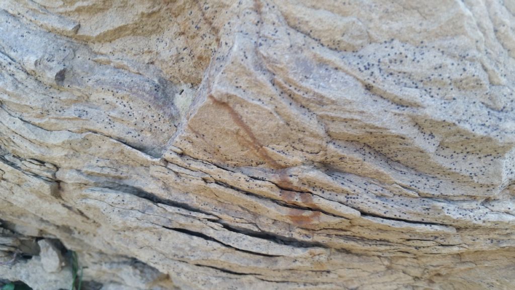 Affioramento di arenaria?