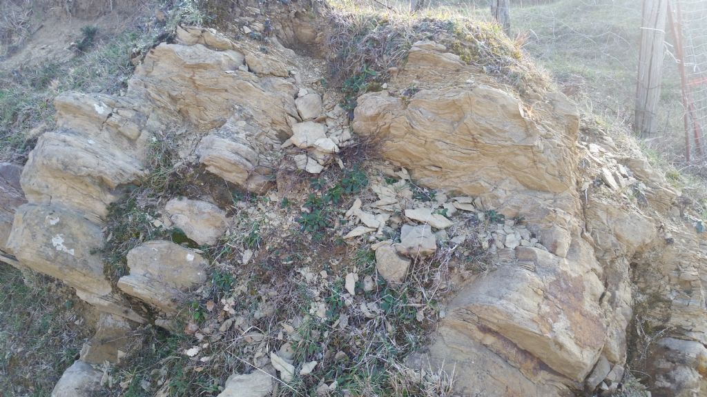 Affioramento di arenaria?