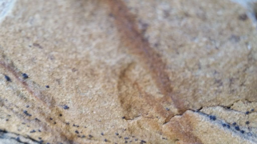 Affioramento di arenaria?