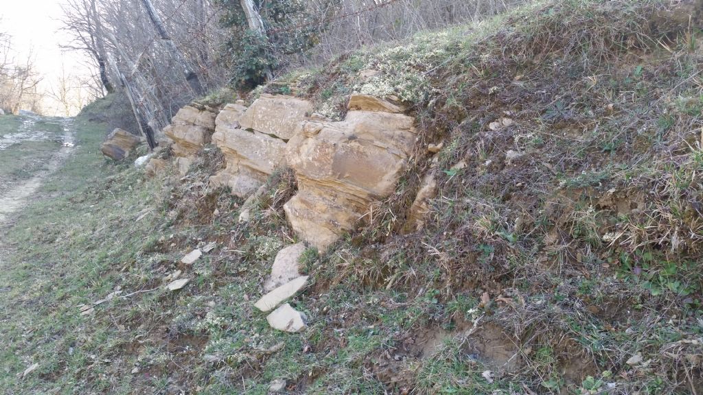 Affioramento di arenaria?