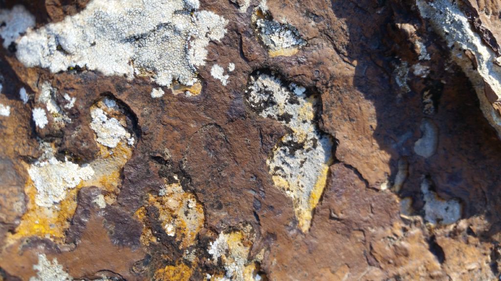 Patina color ruggine su roccia