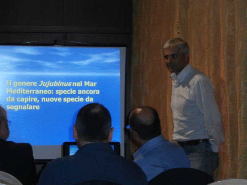 Convegno Malacologico 2013
