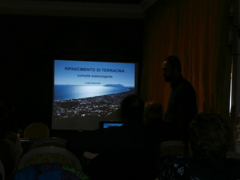 Convegno Malacologico 2013