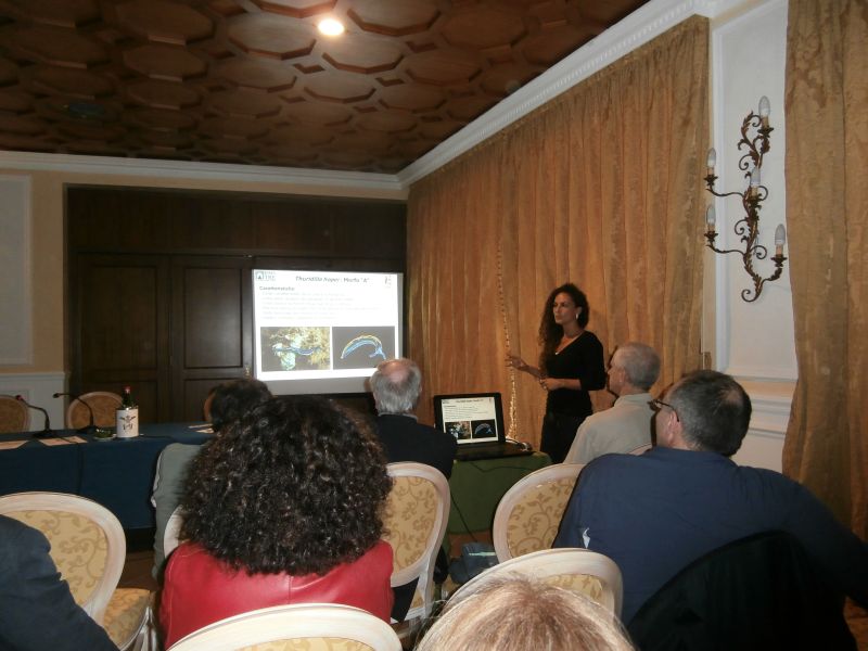 Convegno Malacologico 2013