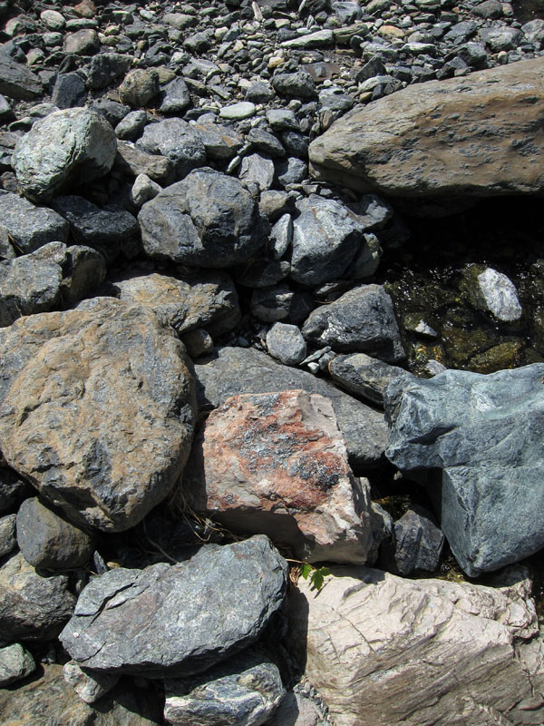 Identificazione minerale - granato e clorite in rodingite