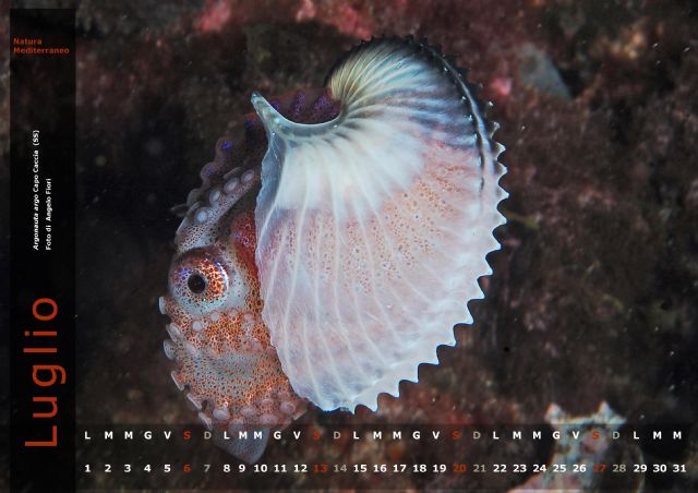 Calendario 2013 di Natura Mediterraneo