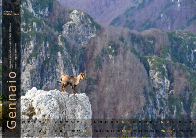 Calendario 2013 di Natura Mediterraneo