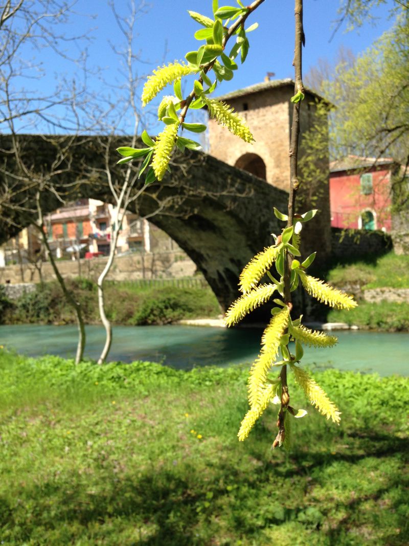 Subiaco: i monasteri benedettini, il ponte medievale