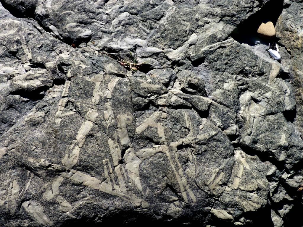 Fossili a Sospel (Francia)
