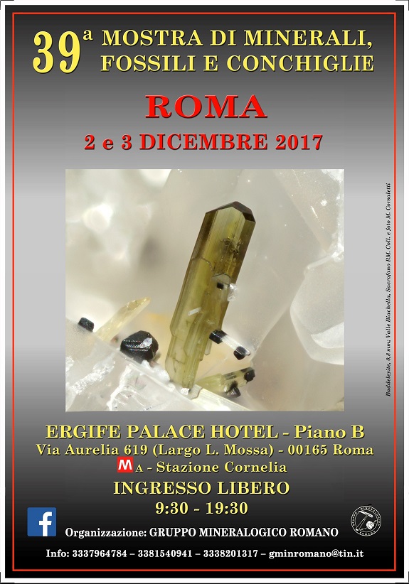 39a MOSTRA DI MINERALI, FOSSILI E CONCHIGLIE