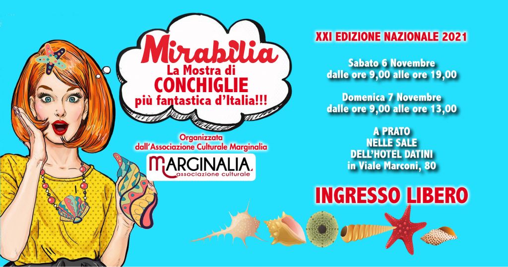 Mirabilia, mostra di conchiglie da tutto il mondo - Prato (FI)