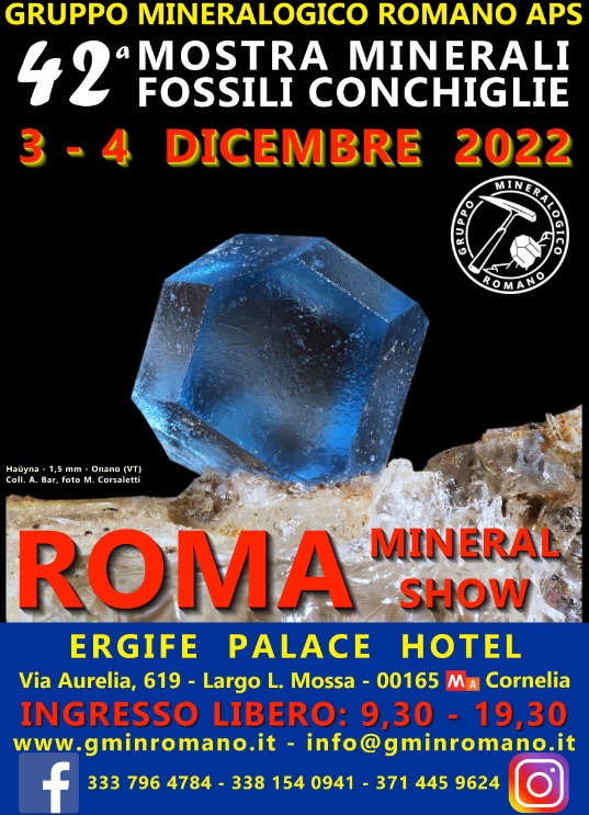 42 MOSTRA MINERALI FOSSILI CONCHIGLIE - ROMA MINERAL SHOW