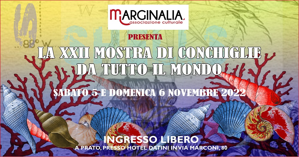 MIRABILIA Mostra di conchiglie da tutto il mondo - Prato (FI)