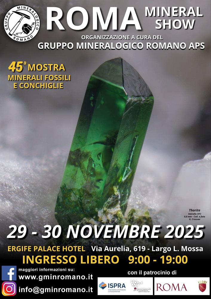 Roma Mineral Show 2025 - Mostra di Minerali, Fossili e Conchiglie di Roma