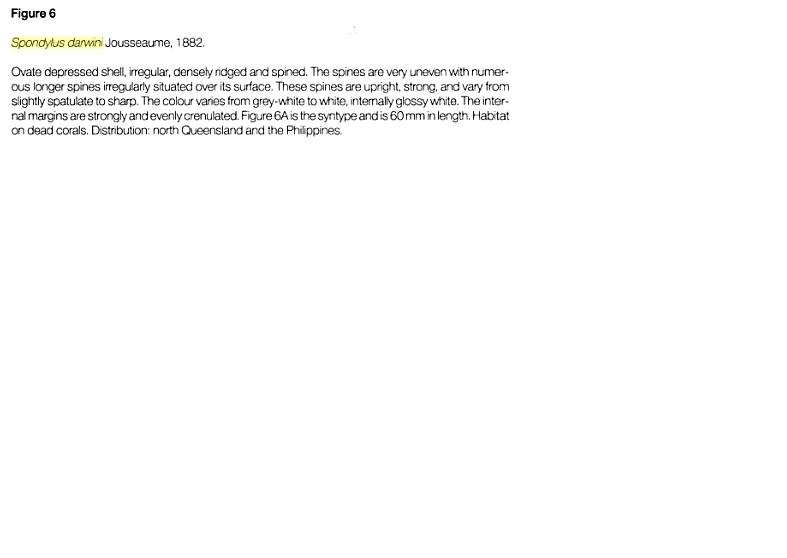 un caso di sinonimia