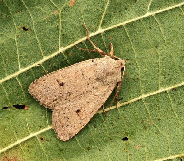 ancora non � finita