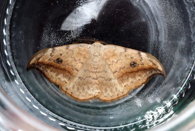 prima lampadata di questo anno - 29. - 30.04.