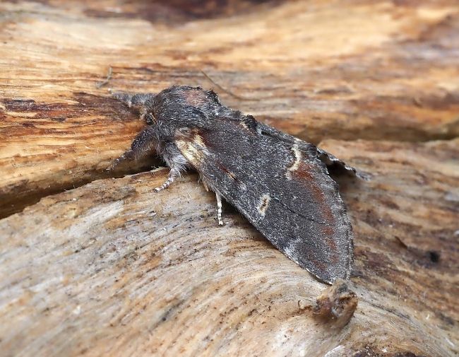 prima lampadata di questo anno - 29. - 30.04.