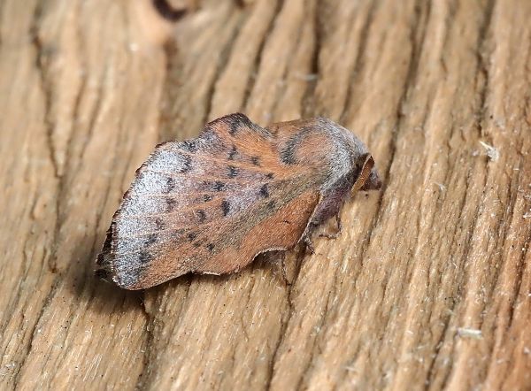 prima lampadata di questo anno - 29. - 30.04.