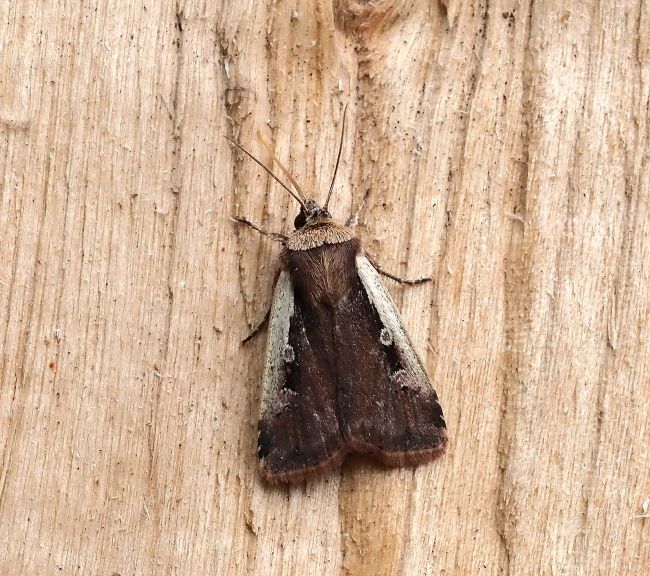 prima lampadata di questo anno - 29. - 30.04.