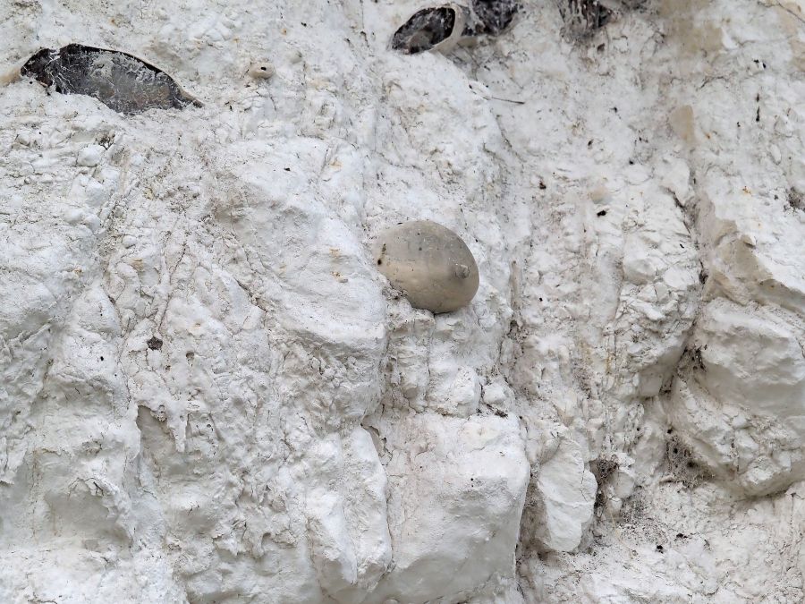 rocca strana, aiuto id